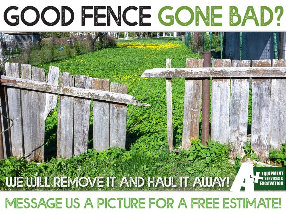 Professional yard cleanup service for year-round maintenance in Perrysburg, OH by A+ Equipment Services and Excavation