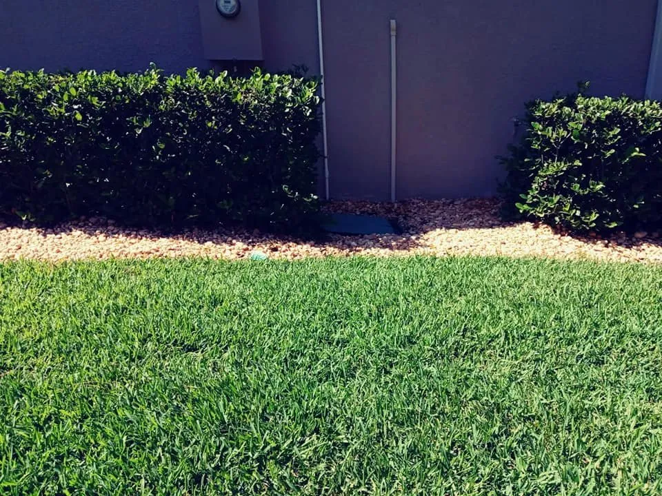 Trusted landscaping services near you in Lakeland, FL by A+ Family Lawn Care