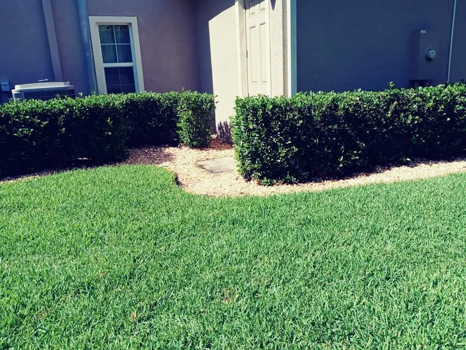 Professional lawn care service for beautiful yards in Lakeland, FL by A+ Family Lawn Care