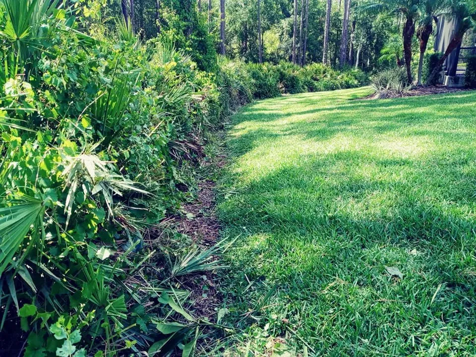 Professional yard cleanup service experts serving Lakeland, FL - A+ Family Lawn Care
