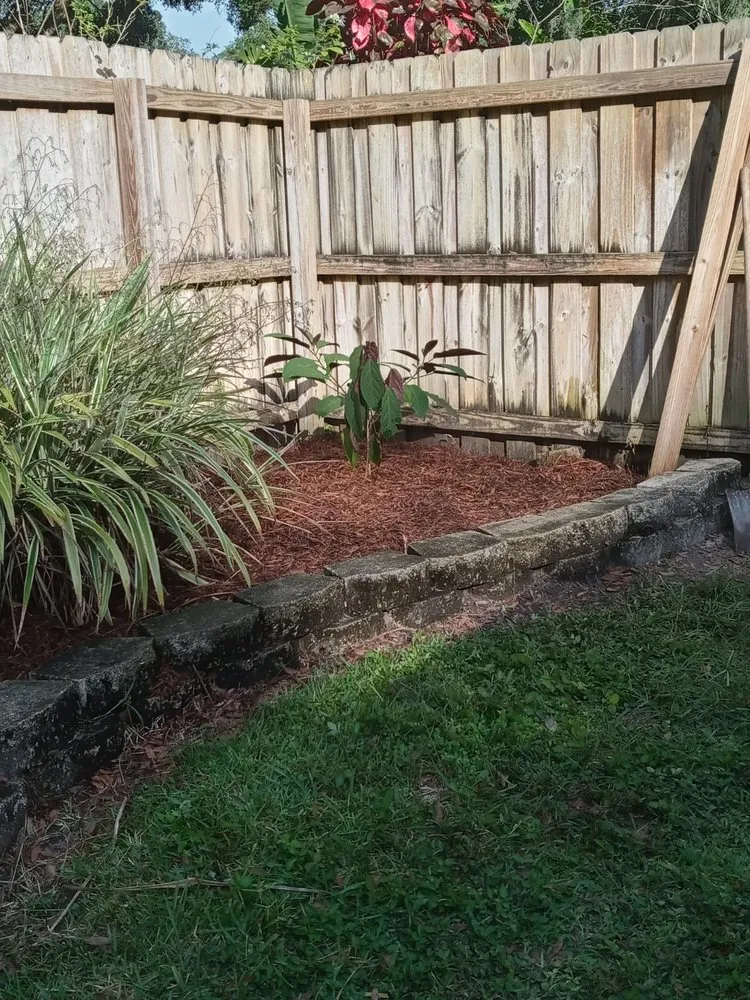 Reliable landscape design for year-round maintenance across Lakeland, FL - A+ Family Lawn Care