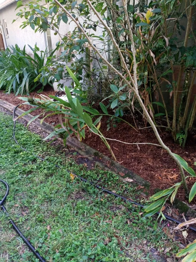 Professional lawn care service in Lakeland, FL - A+ Family Lawn Care