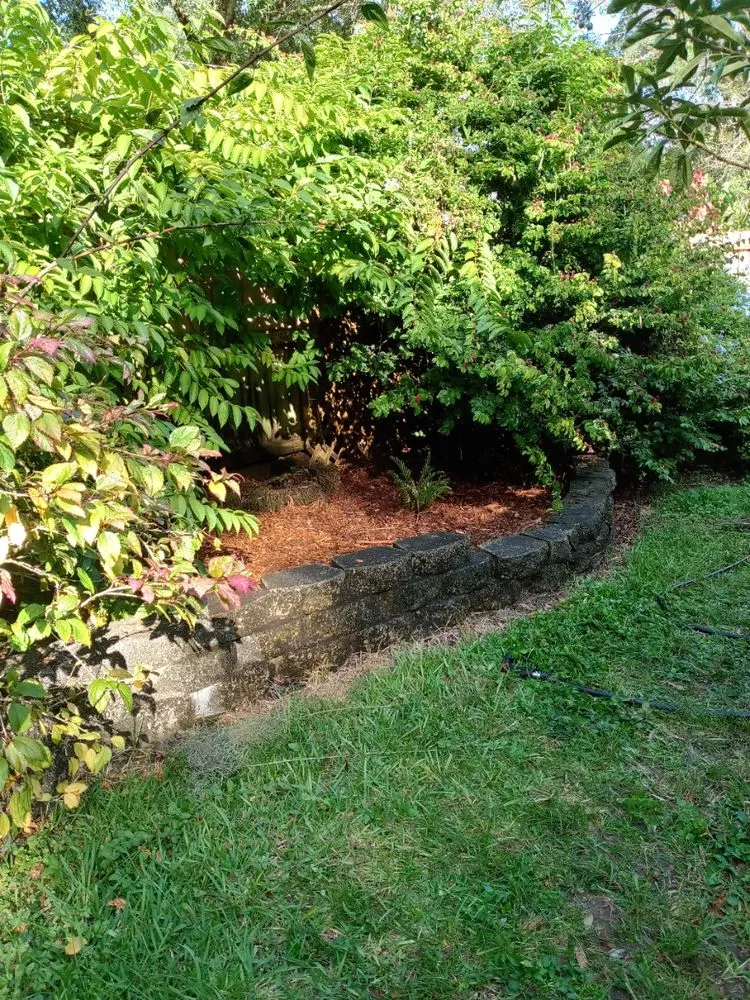 Expert lawn care service for beautiful yards in Lakeland, FL by A+ Family Lawn Care