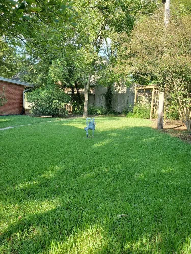 Local yard maintenance in League City, TX - A Family Lawn Service