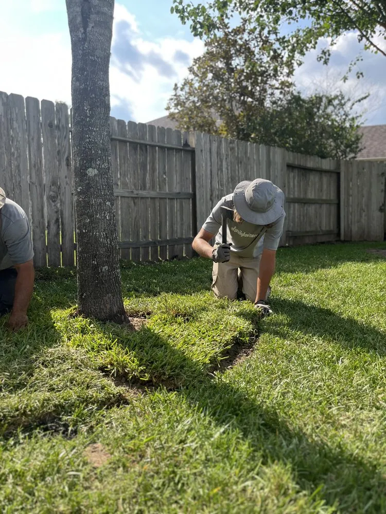 Expert lawn care service for homes in League City, TX by A Family Lawn Service