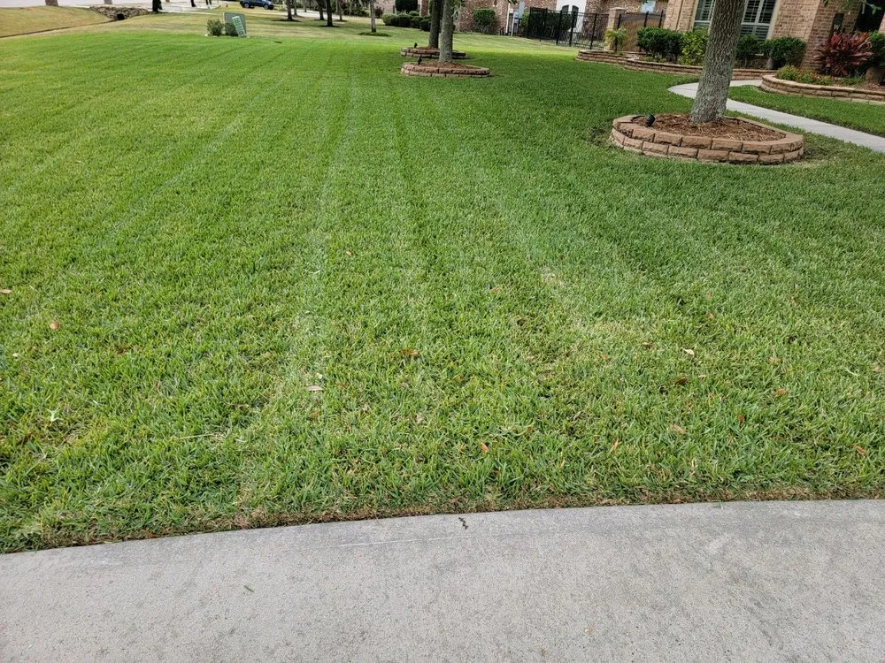 Reliable outdoor landscaping for homes in League City, TX by A Family Lawn Service