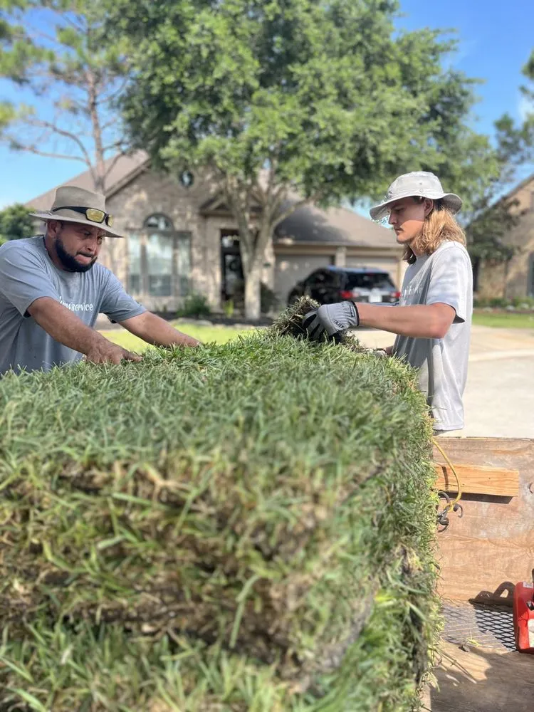 Custom yard maintenance in League City, TX - A Family Lawn Service