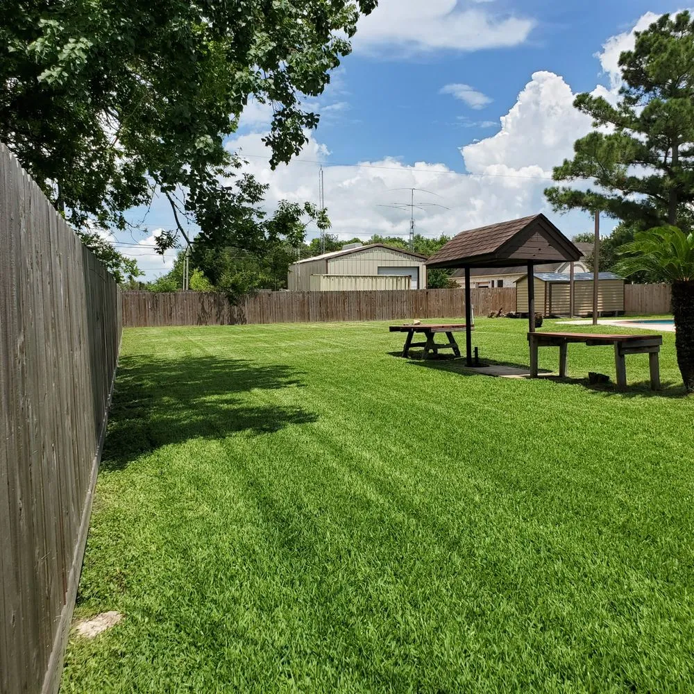 Expert lawn care service in League City, TX - A Family Lawn Service