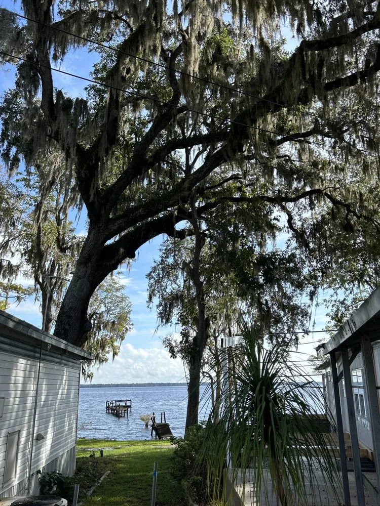 Reliable garden landscaping in New Smyrna Beach, FL by A Family Tree & Landscaping