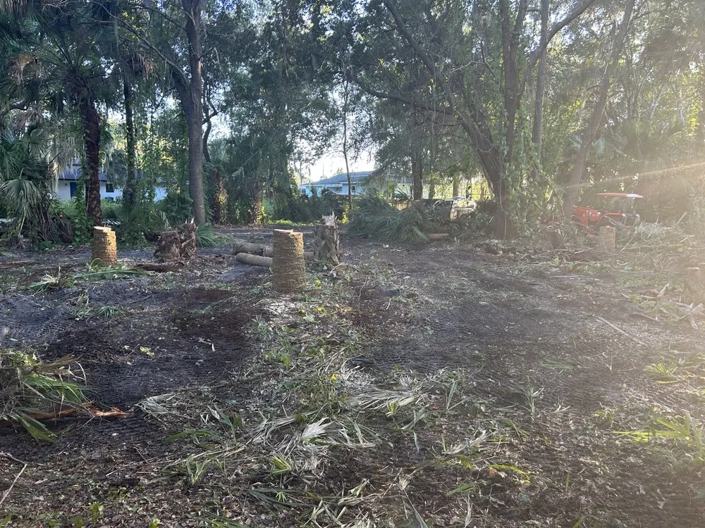 Top-rated residential landscaping with custom design across New Smyrna Beach, FL - A Family Tree & Landscaping