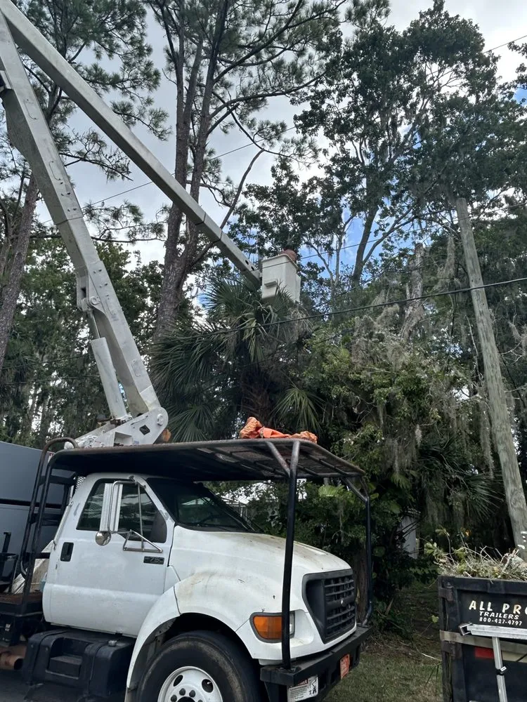 Top-rated outdoor landscaping with custom design in New Smyrna Beach, FL by A Family Tree & Landscaping