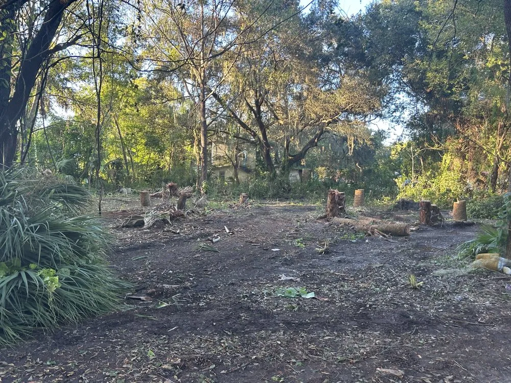 Custom garden landscaping experts serving New Smyrna Beach, FL - A Family Tree & Landscaping