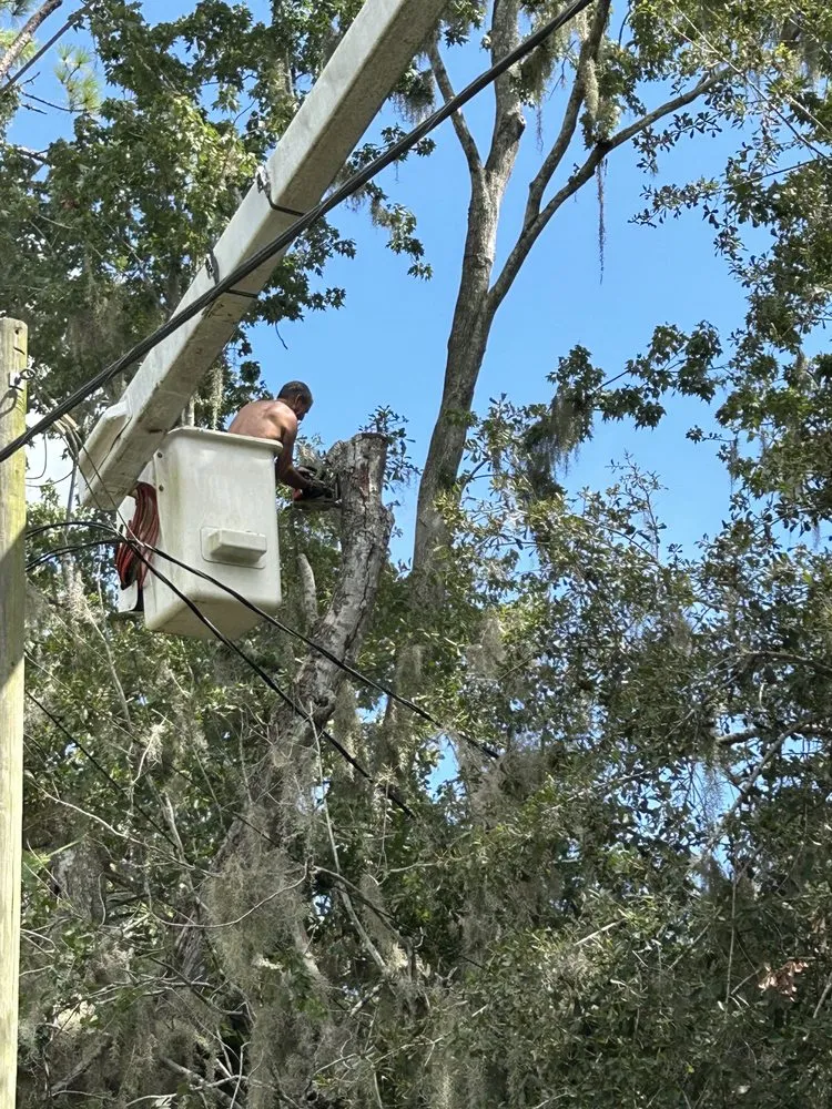 Local yard maintenance experts serving New Smyrna Beach, FL - A Family Tree & Landscaping