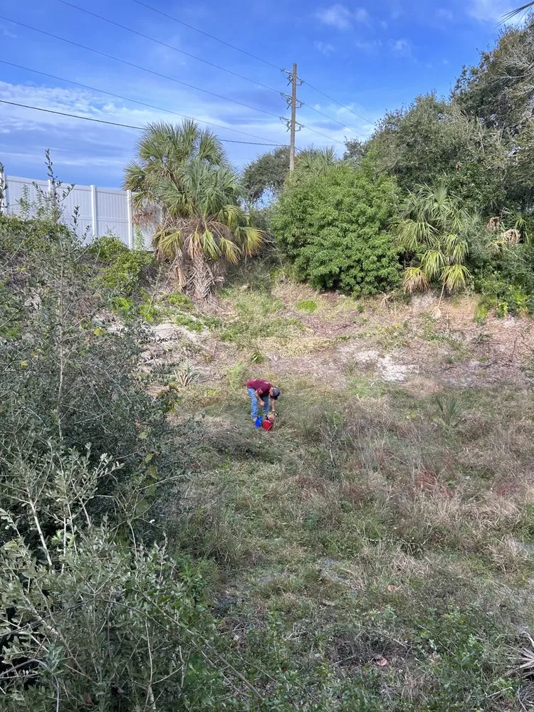 Professional lawn mowing service in New Smyrna Beach, FL by A Family Tree & Landscaping