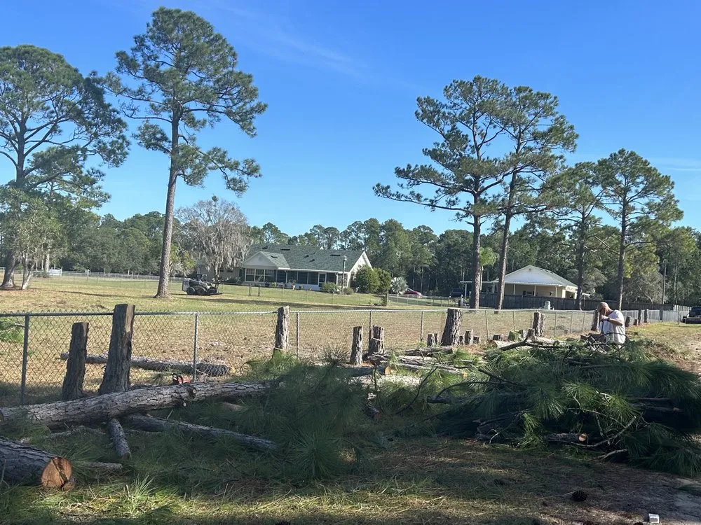 Professional residential landscaping for year-round maintenance in New Smyrna Beach, FL by A Family Tree & Landscaping