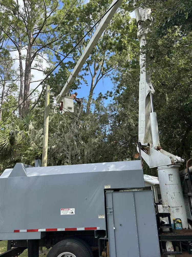 Reliable landscape installation experts serving New Smyrna Beach, FL - A Family Tree & Landscaping