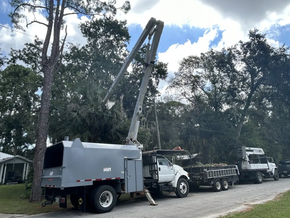 Top-rated landscaping services in New Smyrna Beach, FL by A Family Tree & Landscaping