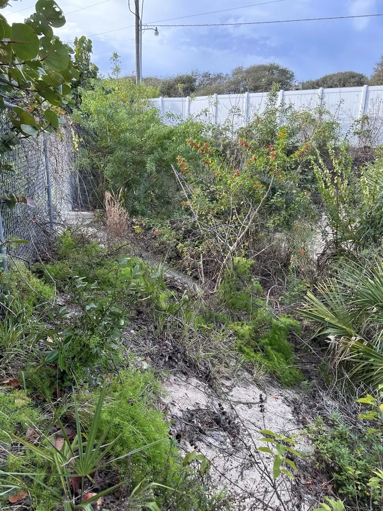 Custom lawn care service in New Smyrna Beach, FL by A Family Tree & Landscaping