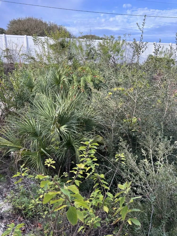 Local lawn mowing service in New Smyrna Beach, FL by A Family Tree & Landscaping