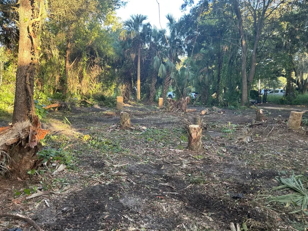 Custom outdoor landscaping in New Smyrna Beach, FL by A Family Tree & Landscaping