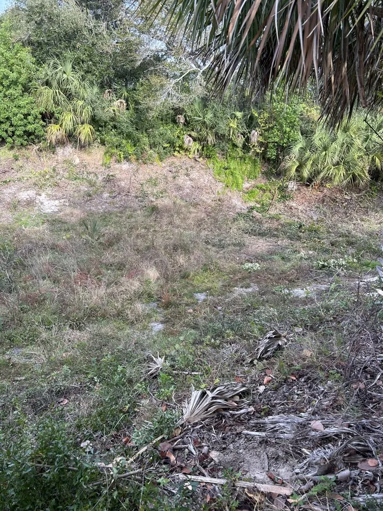 Top-rated yard maintenance in New Smyrna Beach, FL - A Family Tree & Landscaping