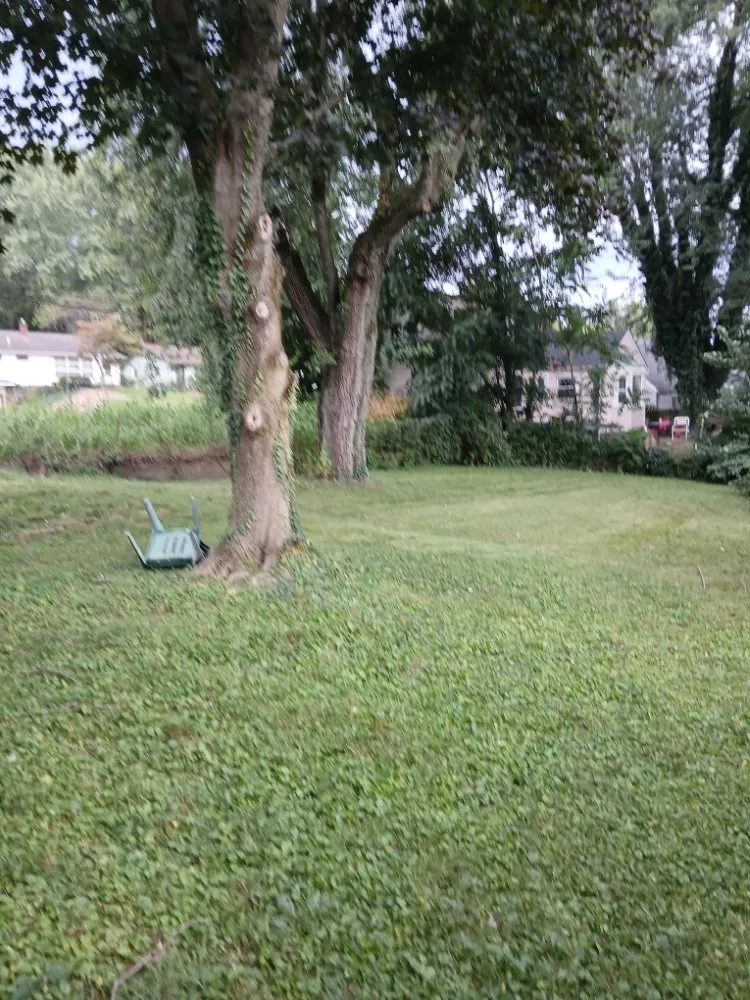 Top-rated garden landscaping for residential properties across Canton, OH - A Flawless Finish