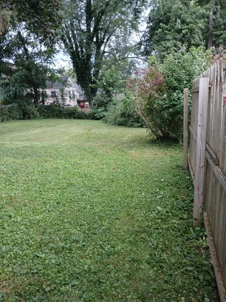 Custom yard maintenance for residential properties across Canton, OH - A Flawless Finish