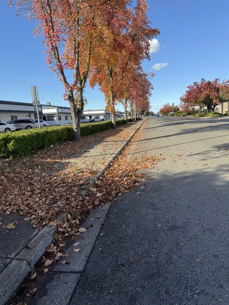 Local yard maintenance for outdoor upgrades across Tracy, CA - A Flores Rosas