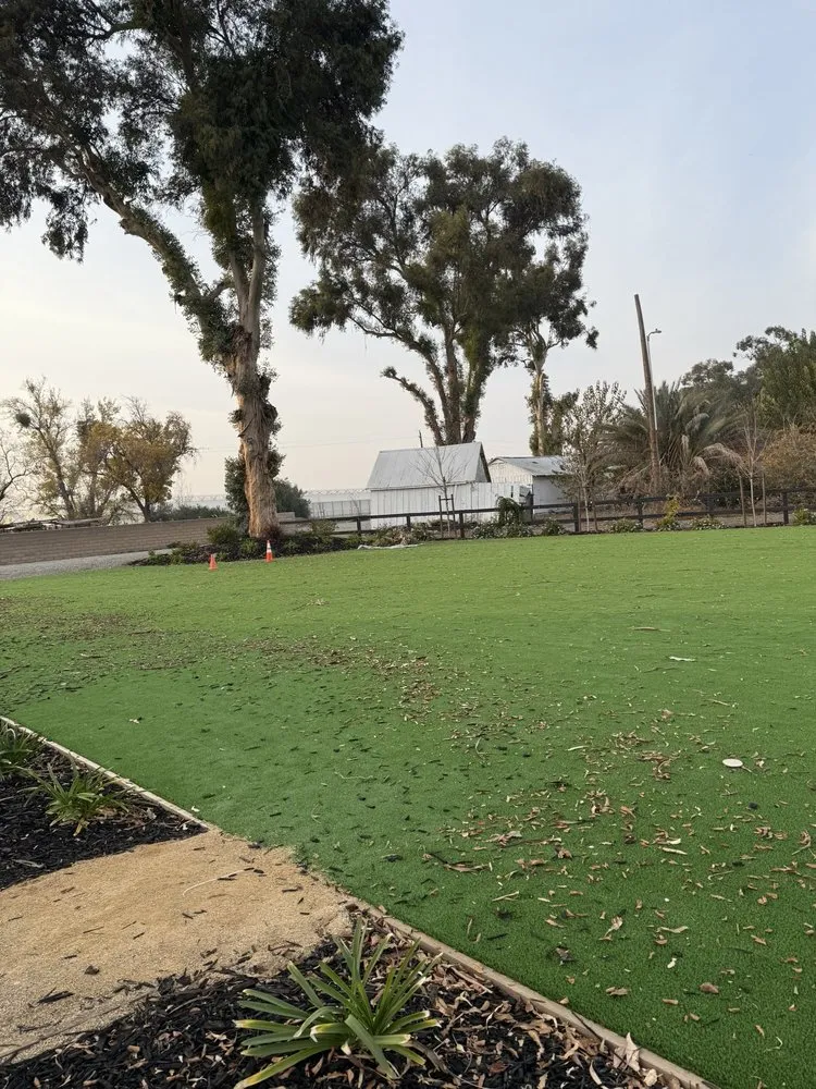 Professional yard maintenance experts serving Tracy, CA - A Flores Rosas