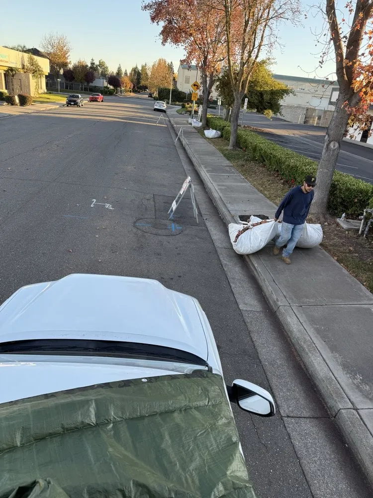 Custom yard cleanup service in Tracy, CA - A Flores Rosas