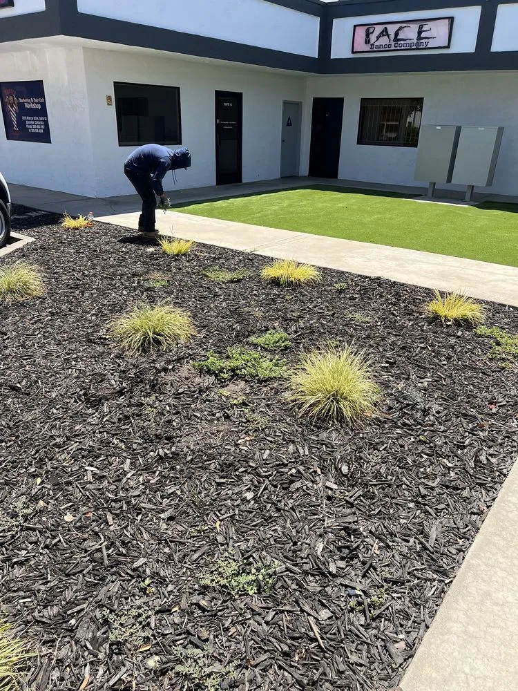 Professional residential landscaping near you across Tracy, CA - A Flores Rosas