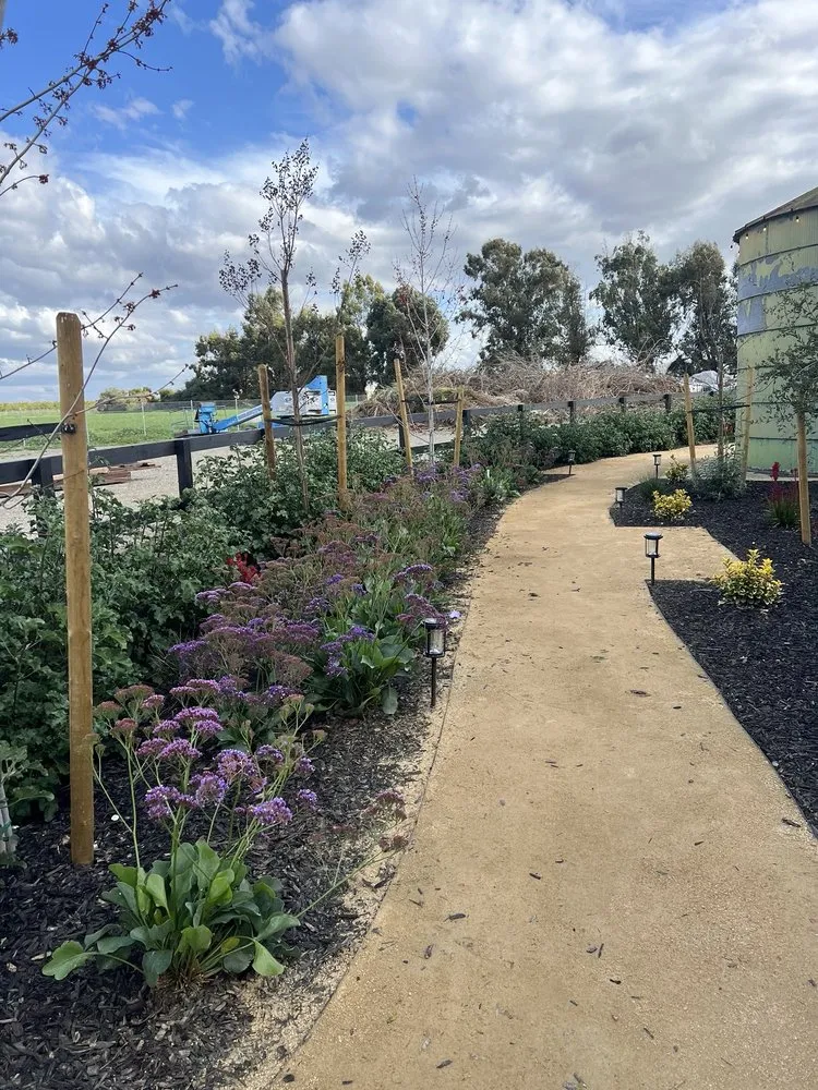 Professional landscaping services near you in Tracy, CA by A Flores Rosas