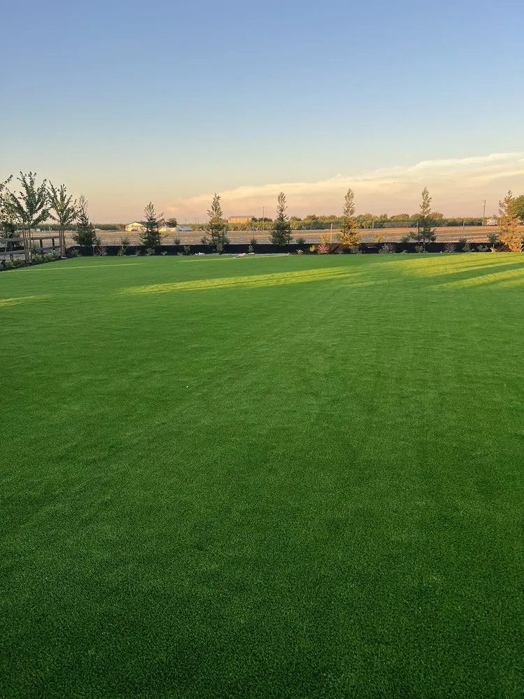 Reliable yard maintenance in Tracy, CA - A Flores Rosas