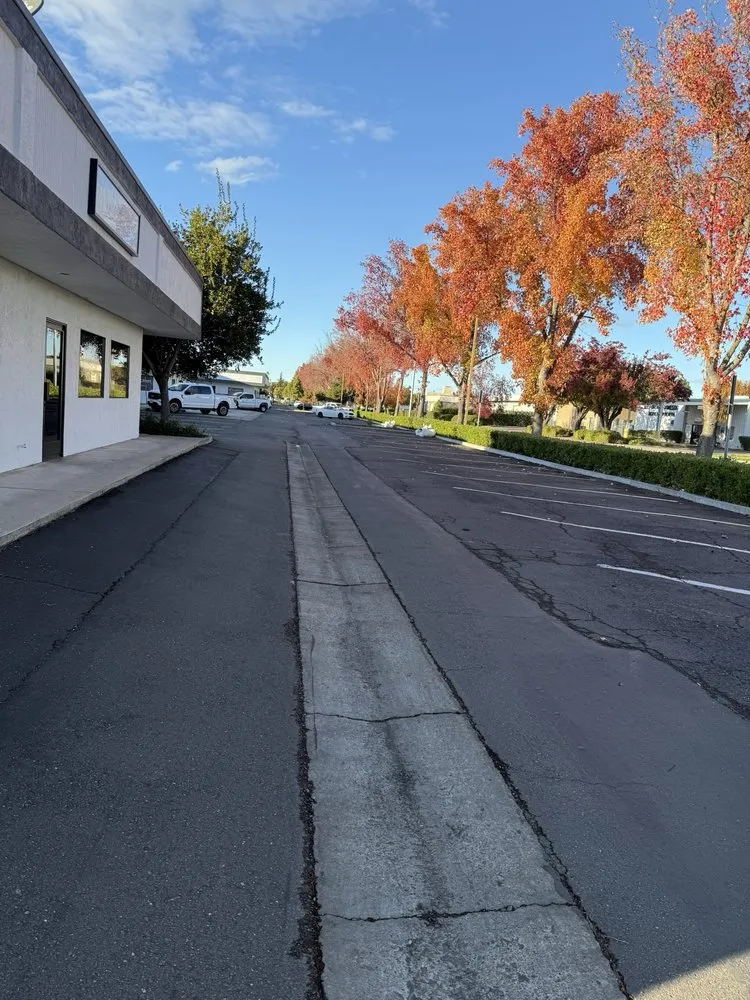 Trusted yard maintenance for outdoor upgrades across Tracy, CA - A Flores Rosas