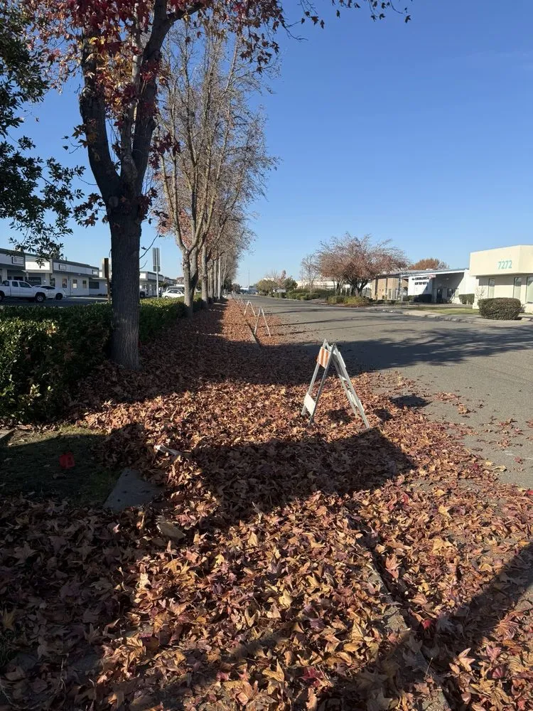 Affordable yard maintenance experts serving Tracy, CA - A Flores Rosas