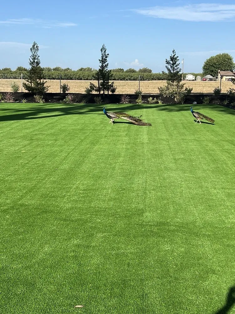 Reliable yard maintenance experts serving Tracy, CA - A Flores Rosas