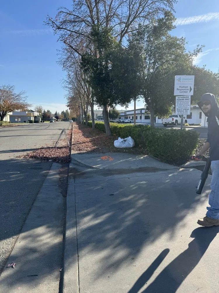 Reliable landscaping services for homes in Tracy, CA by A Flores Rosas