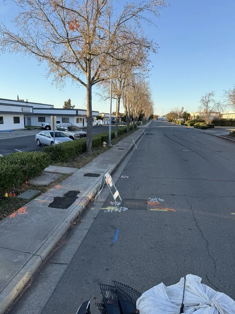 Reliable yard maintenance in Tracy, CA by A Flores Rosas