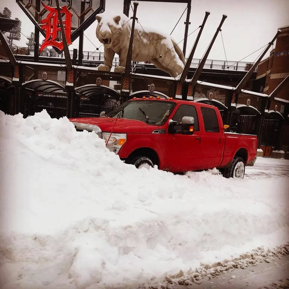 Trusted yard cleanup service in Southgate, MI by A Formosa & Son's Landscaping