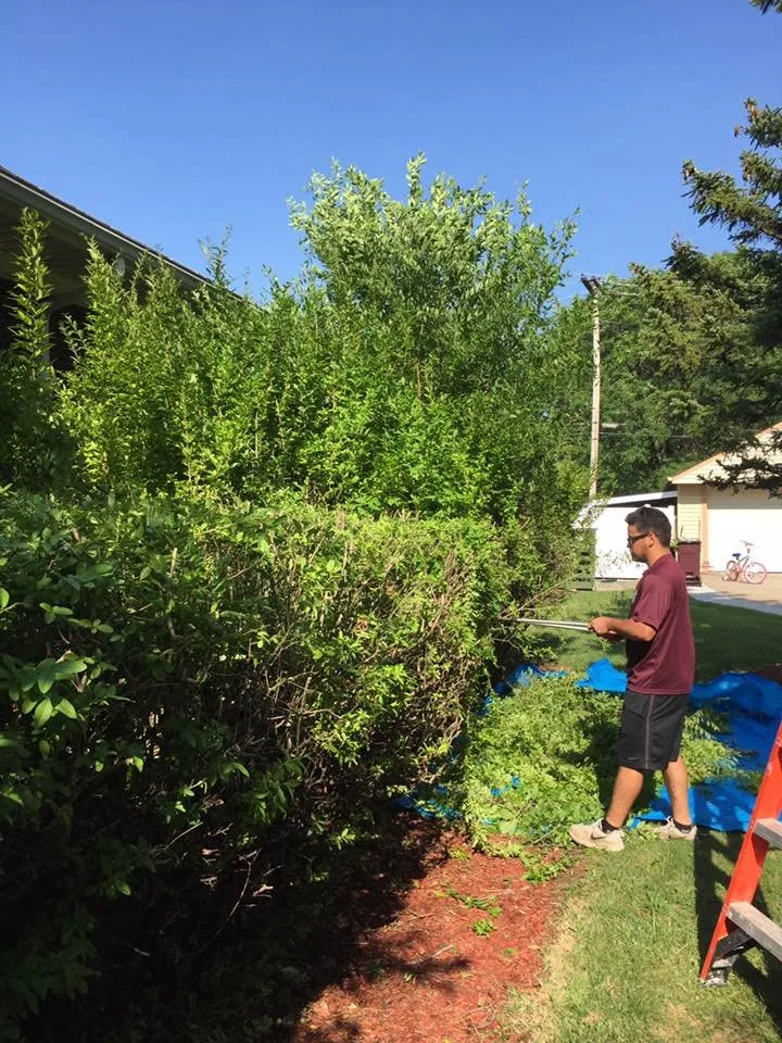 Affordable landscape design for outdoor upgrades in Southgate, MI by A Formosa & Son's Landscaping