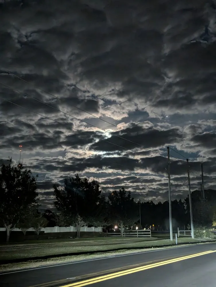 Expert landscape installation in Christmas, FL by A Fortress Landscaping
