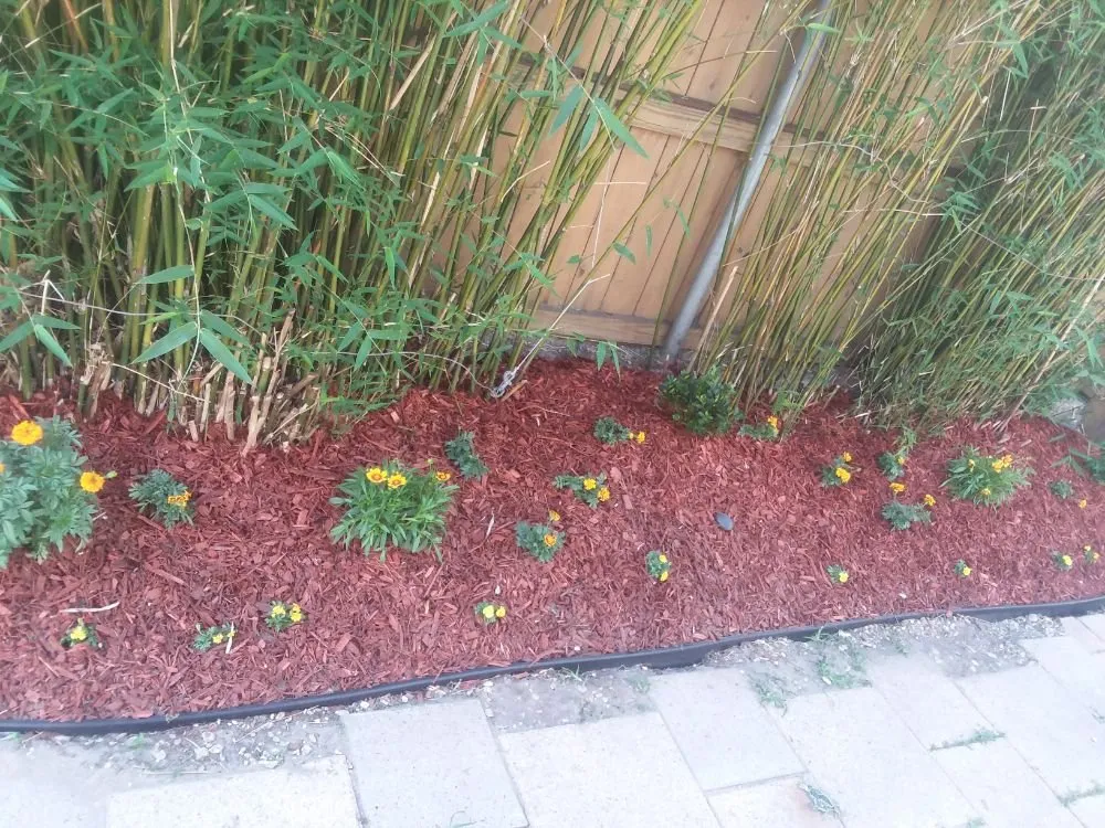 Reliable lawn care service for beautiful yards in Metairie, LA by A Fox in the Garden