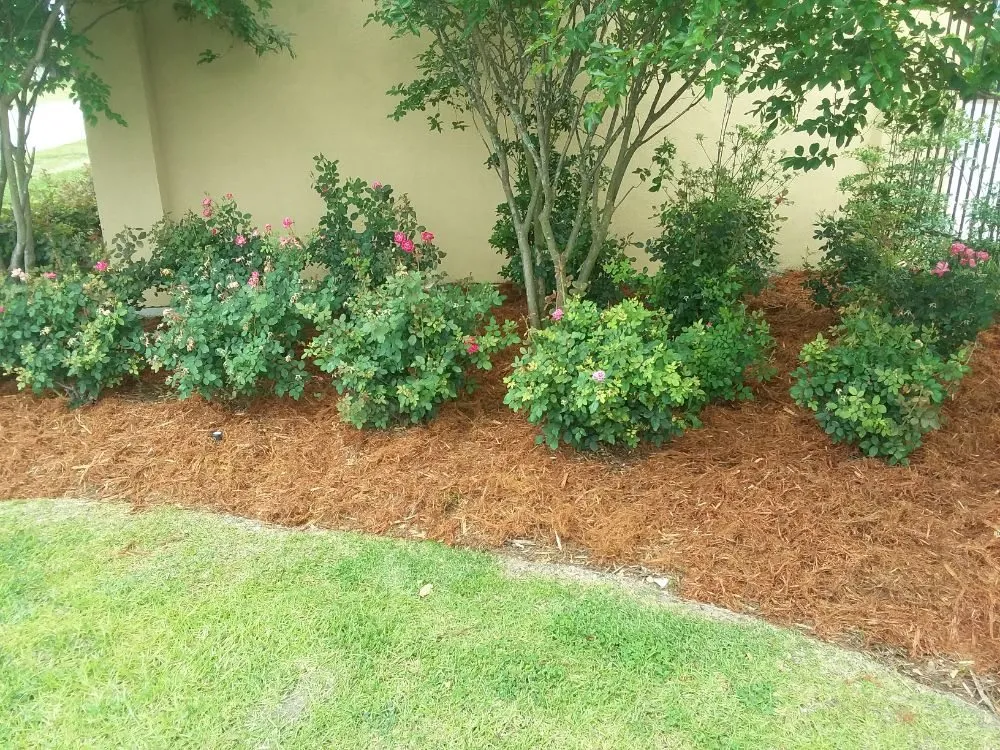 Reliable residential landscaping experts serving Metairie, LA - A Fox in the Garden