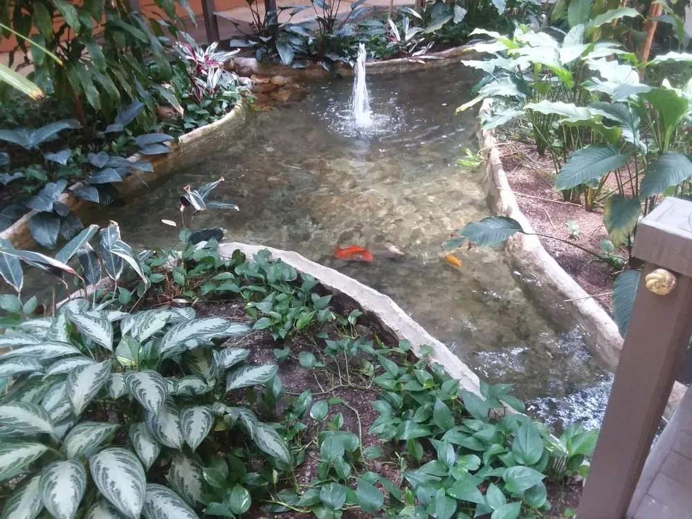 Professional lawn mowing service in Metairie, LA - A Fox in the Garden