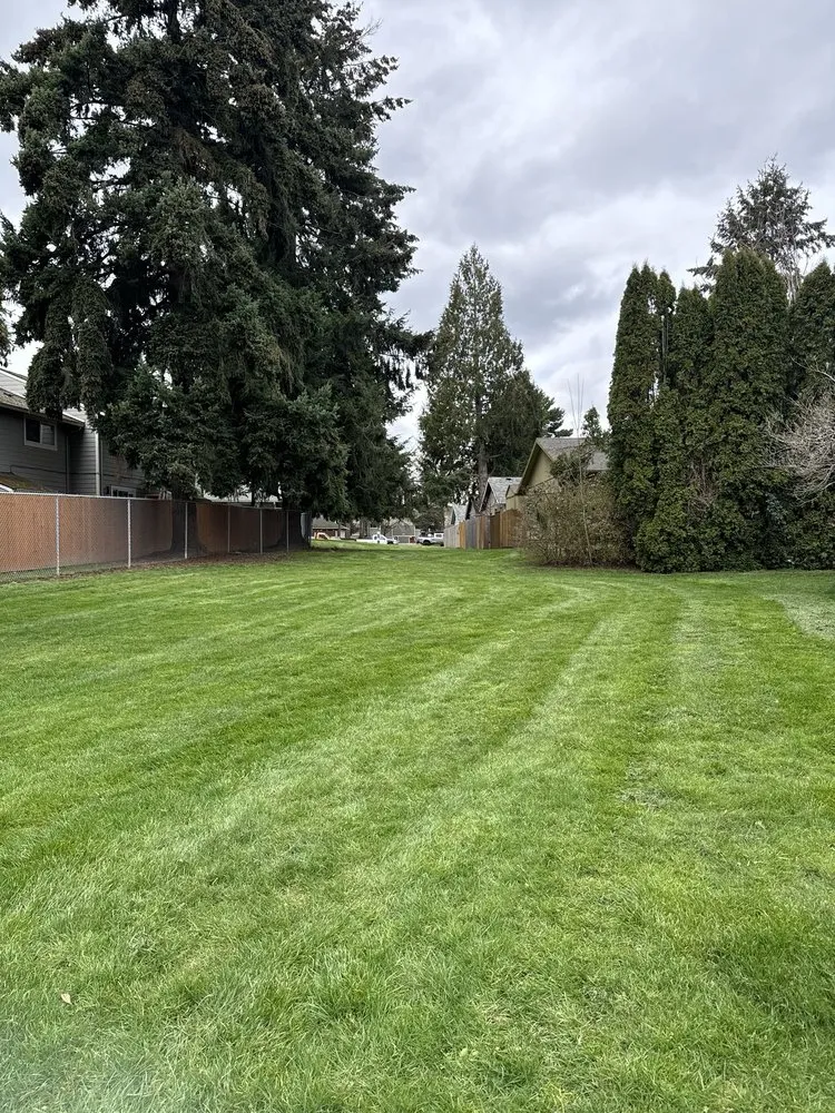 Professional landscape design for year-round maintenance across Beaverton, OR - A Fresh Cut