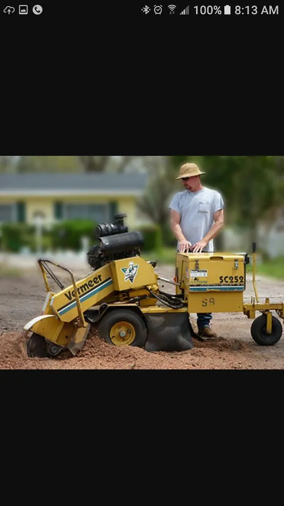 Expert lawn care service for year-round maintenance across Wichita Falls, TX - A Fresh Cut Lawn & Tree Service