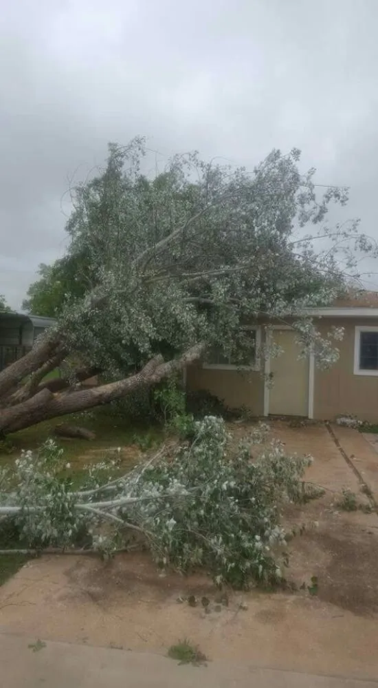Expert yard cleanup service experts serving Wichita Falls, TX - A Fresh Cut Lawn & Tree Service