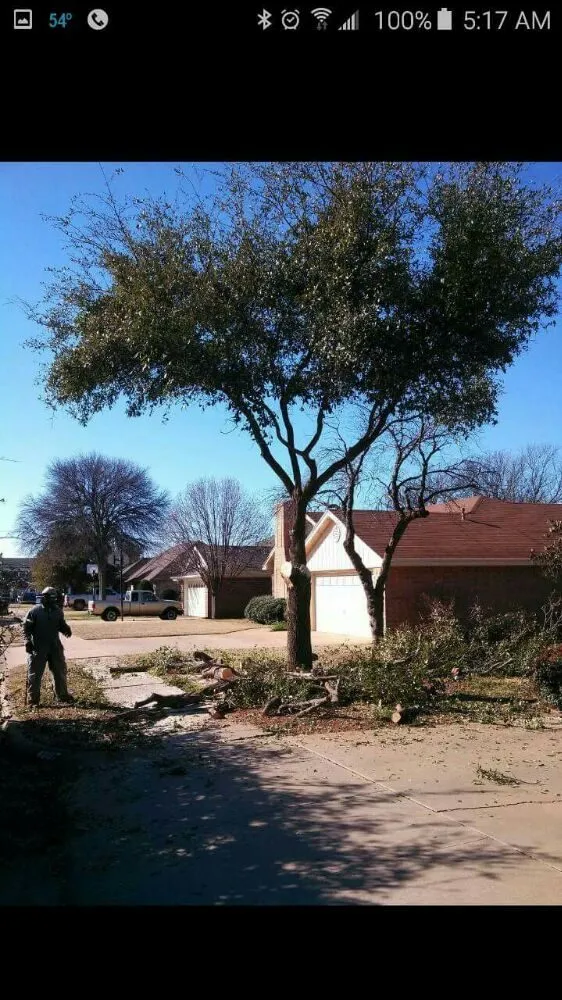 Custom landscape installation with custom design in Wichita Falls, TX by A Fresh Cut Lawn & Tree Service