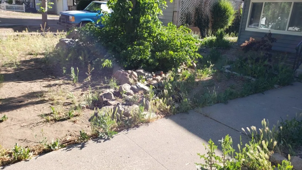 Top-rated residential landscaping for residential properties across Reno, NV - A-G-A Yard Service