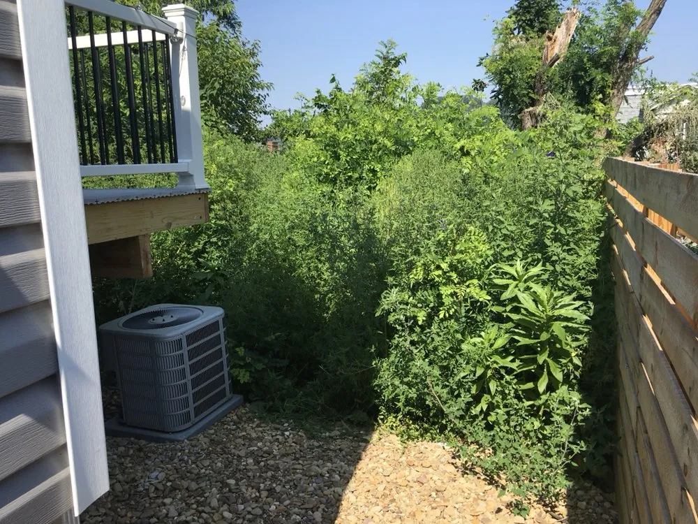 Local yard cleanup service experts serving Pittsburgh, PA - A G S Landscaping